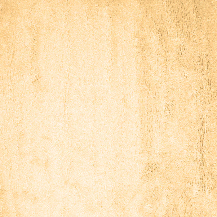 Square Solid Brown Modern Rug, con651brn