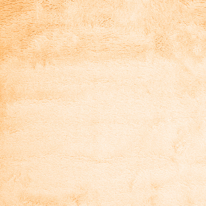 Serging Thickness of Machine Washable Solid Orange Modern Area Rugs, wshcon651org