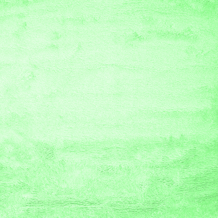 Square Machine Washable Solid Emerald Green Modern Area Rugs, wshcon651emgrn