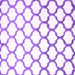 Square Machine Washable Terrilis Purple Contemporary Area Rugs, wshcon652pur