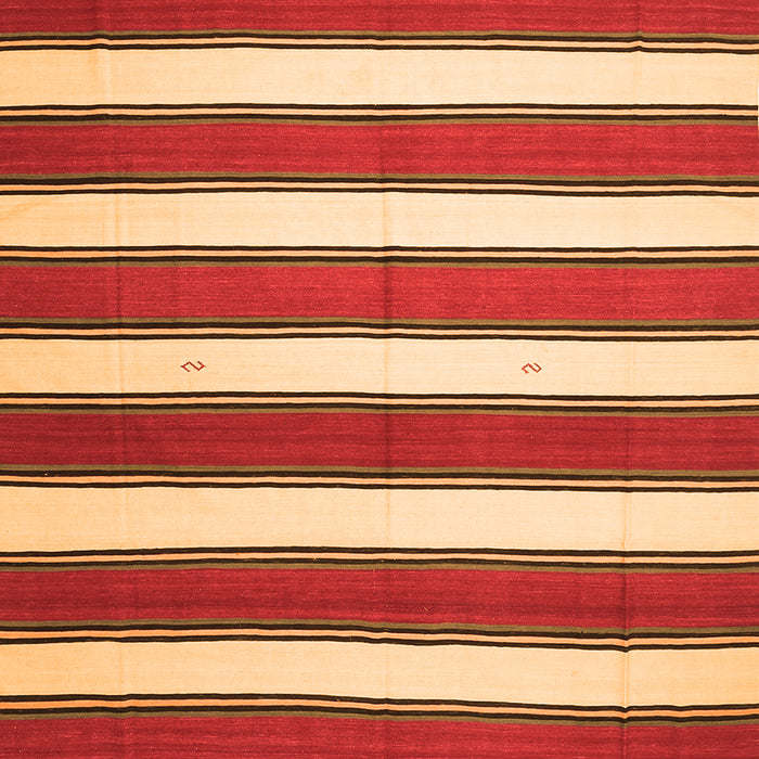 Oriental Orange Traditional Rug, con656org