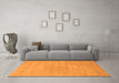 Machine Washable Solid Orange Modern Area Rugs in a Living Room, wshcon65org