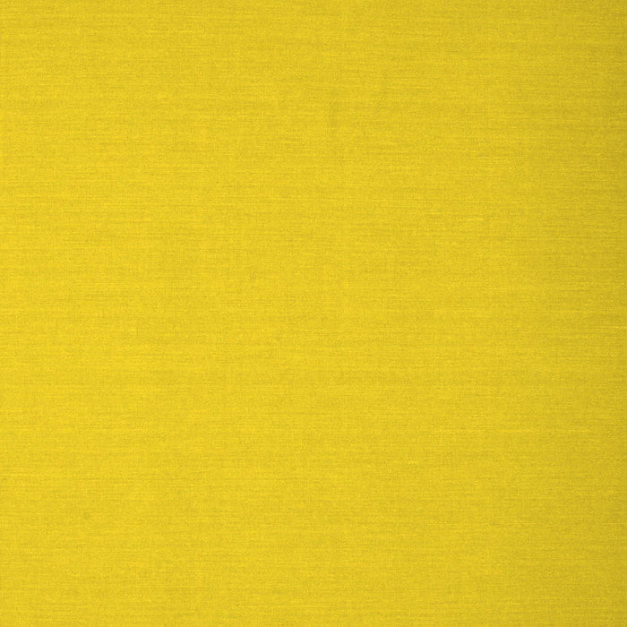 Abstract Yellow Contemporary Rug, con673yw