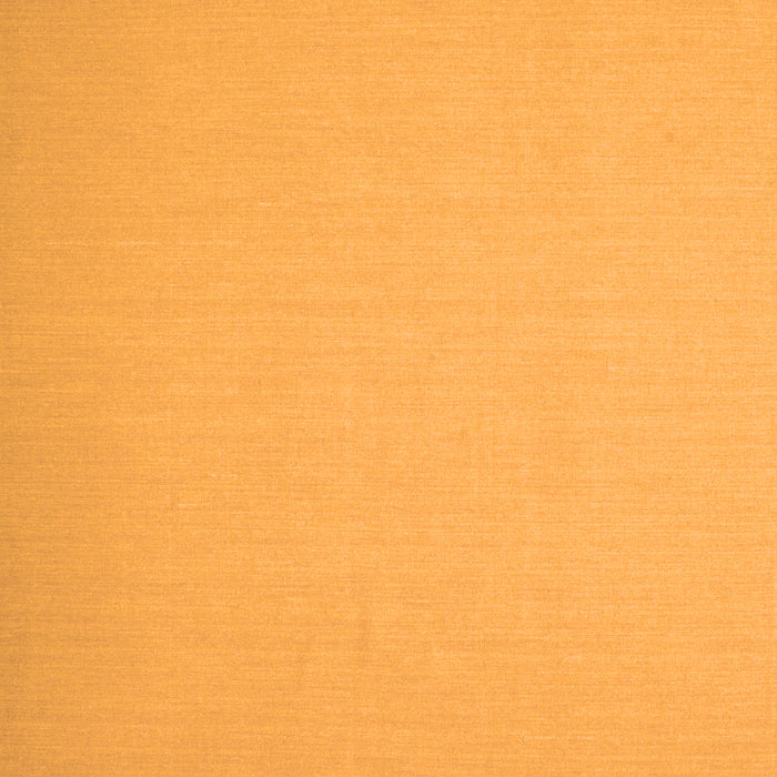 Abstract Orange Contemporary Rug, con673org