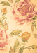 Botanical Brown Coastal Rug, con674brn