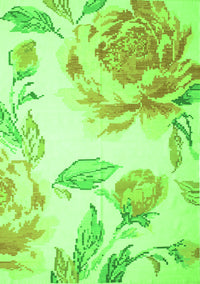 Botanical Green Coastal Rug, con674grn