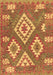 Machine Washable Southwestern Brown Country Rug, wshcon685brn