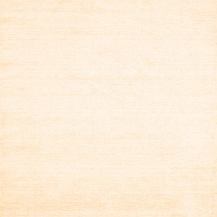 Solid Orange Modern Rug, con68org