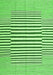 Solid Green Modern Rug, con691grn