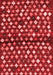 Abstract Red Contemporary Area Rugs