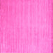 Square Machine Washable Solid Pink Modern Rug, wshcon70pnk