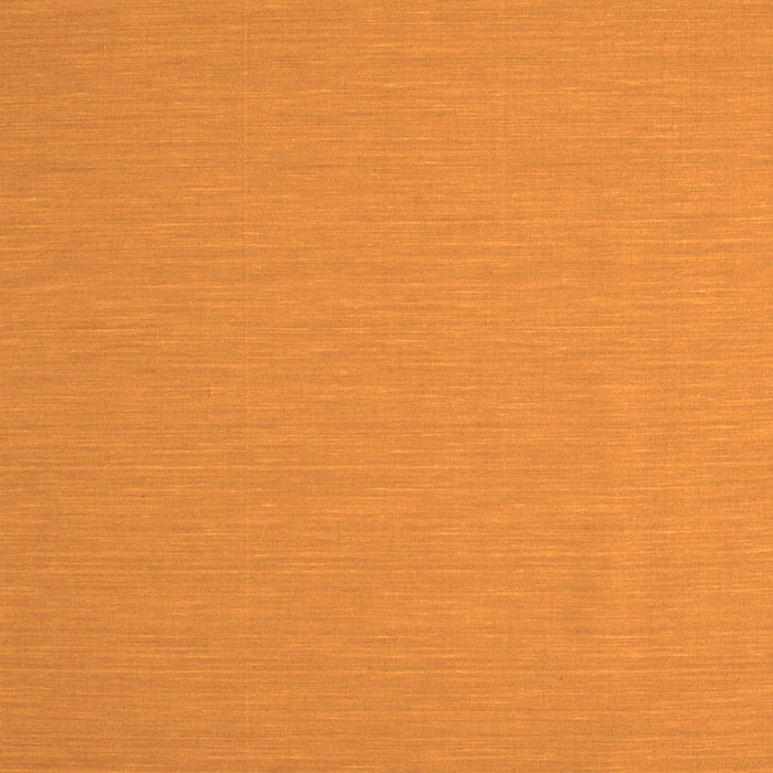 Abstract Orange Contemporary Rug, con715org