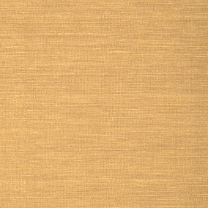 Solid Brown Modern Rug, con724brn