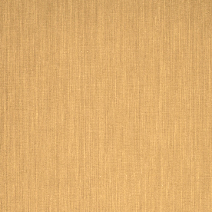 Square Solid Brown Modern Rug, con724brn