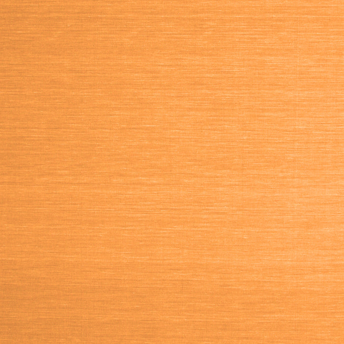 Serging Thickness of Machine Washable Solid Orange Modern Area Rugs, wshcon725org