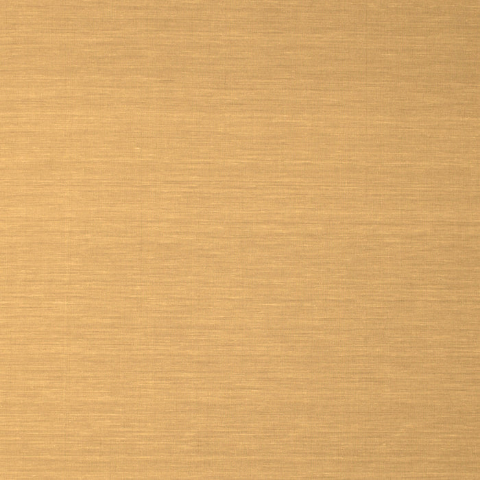 Solid Brown Modern Rug, con725brn
