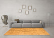 Machine Washable Persian Orange Bohemian Area Rugs in a Living Room, wshcon732org