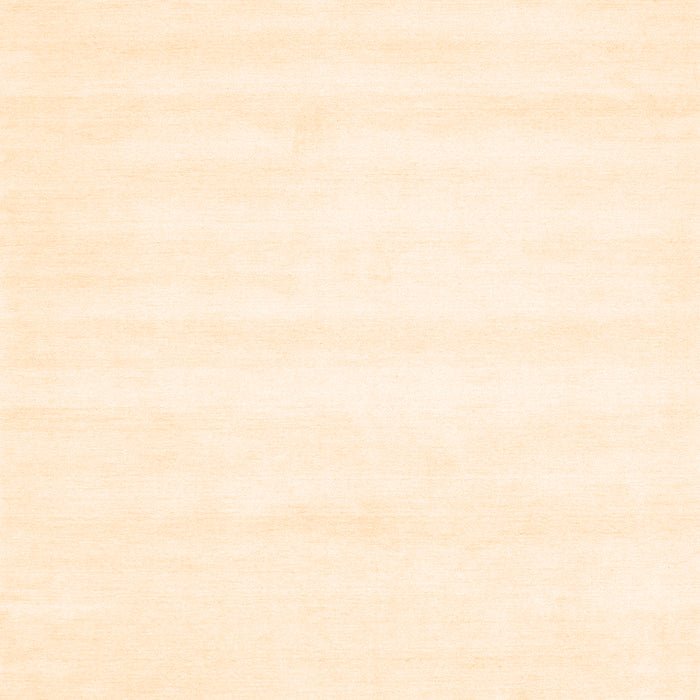 Solid Orange Modern Rug, con73org