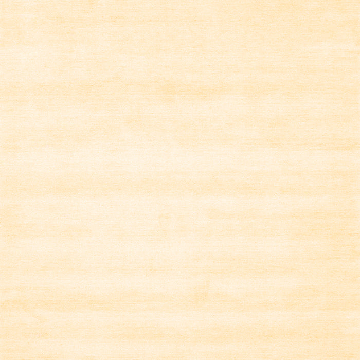 Machine Washable Solid Brown Modern Rug, wshcon73brn