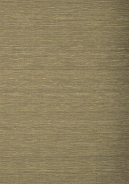 Abstract Brown Contemporary Rug, con741brn
