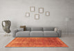 Machine Washable Persian Orange Bohemian Area Rugs in a Living Room, wshcon747org