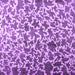 Square Machine Washable Abstract Purple Contemporary Area Rugs, wshcon771pur
