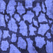 Square Machine Washable Persian Blue Bohemian Rug, wshcon774blu