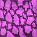 Square Machine Washable Persian Pink Bohemian Rug, wshcon774pnk