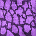 Square Machine Washable Persian Purple Bohemian Area Rugs, wshcon774pur