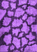 Machine Washable Persian Purple Bohemian Area Rugs, wshcon774pur