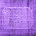 Square Persian Purple Bohemian Rug, con776pur