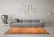 Machine Washable Persian Orange Bohemian Area Rugs in a Living Room, wshcon776org