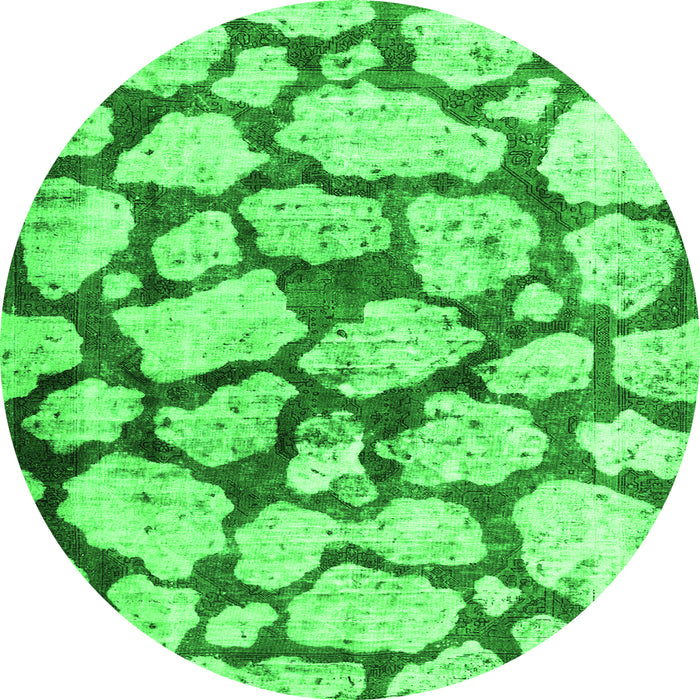 Square Abstract Green Contemporary Rug, con779grn