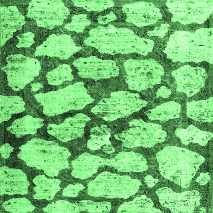 Square Abstract Emerald Green Contemporary Rug, con779emgrn