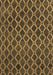 Machine Washable Abstract Brown Contemporary Rug, wshcon787brn