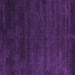 Square Abstract Purple Contemporary Rug, con79pur