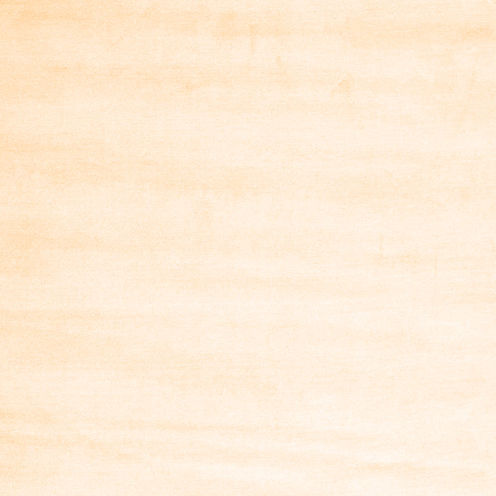 Solid Orange Modern Rug, con7org