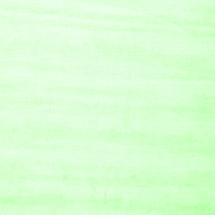 Solid Green Modern Rug, con7grn