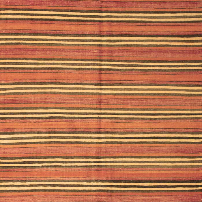 Oriental Brown Traditional Rug, con817brn