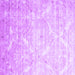 Square Machine Washable Abstract Purple Contemporary Area Rugs, wshcon830pur