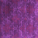 Square Abstract Purple Contemporary Rug, con831pur