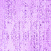 Square Machine Washable Solid Purple Modern Area Rugs, wshcon836pur