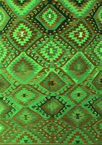 Southwestern Green Country Rug, con841grn