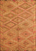 Southwestern Orange Country Rug, con874org