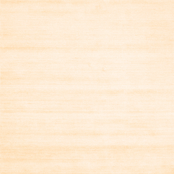 Solid Orange Modern Rug, con89org