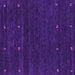 Square Abstract Purple Contemporary Rug, con914pur