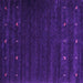 Square Machine Washable Abstract Purple Contemporary Area Rugs, wshcon928pur