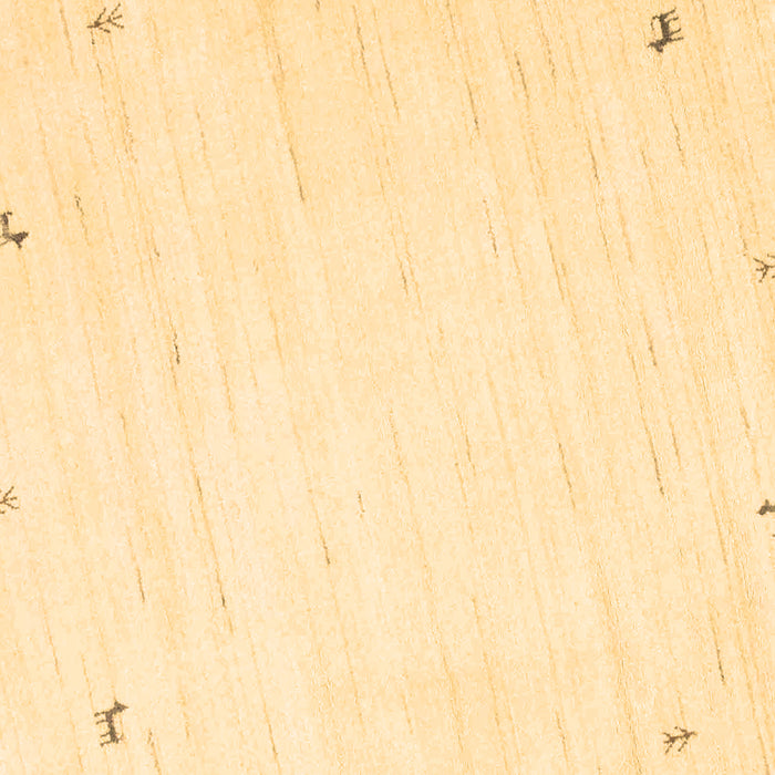 Square Machine Washable Solid Brown Modern Rug, wshcon952brn