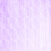 Square Machine Washable Solid Purple Modern Area Rugs, wshcon960pur