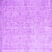 Square Abstract Purple Contemporary Rug, con968pur